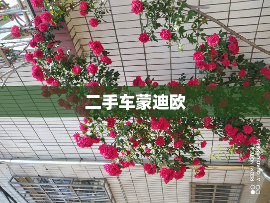二手车蒙迪欧