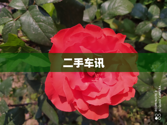 二手车讯