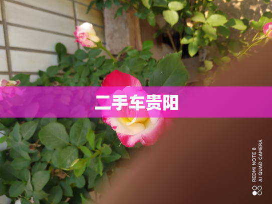 二手车贵阳