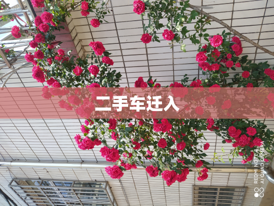 二手车迁入