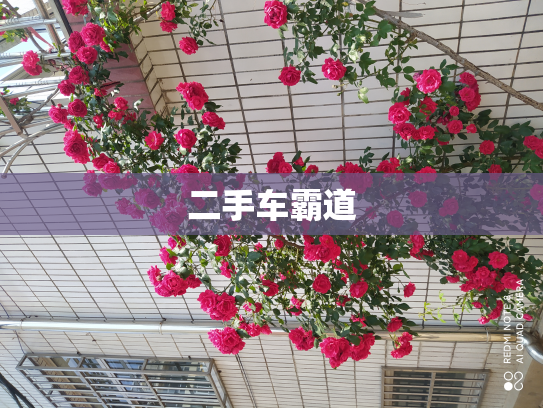 二手车霸道