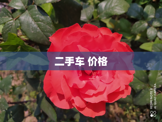 二手车 价格