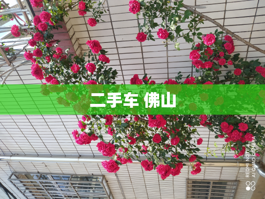 二手车 佛山