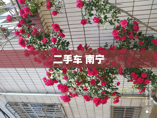 二手车 南宁
