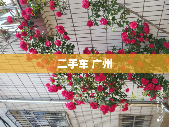 二手车 广州