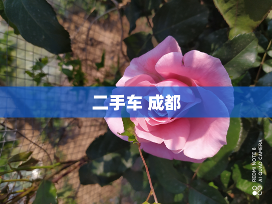 二手车 成都
