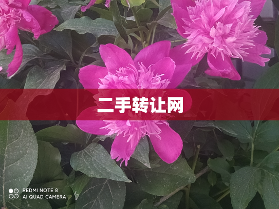 二手转让网