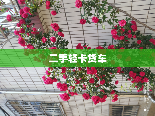 二手轻卡货车