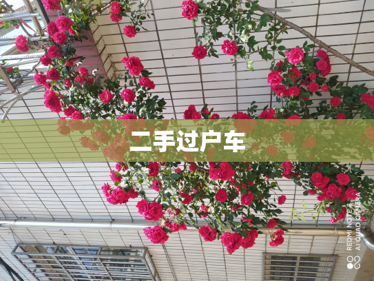 二手过户车