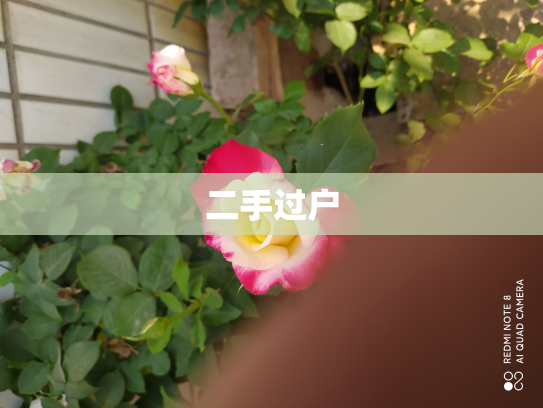 二手过户