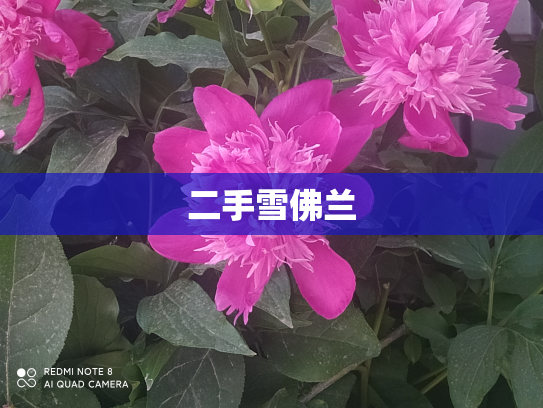 二手雪佛兰