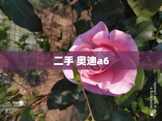 二手 奥迪a6