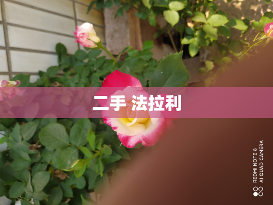 二手 法拉利