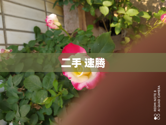 二手 速腾