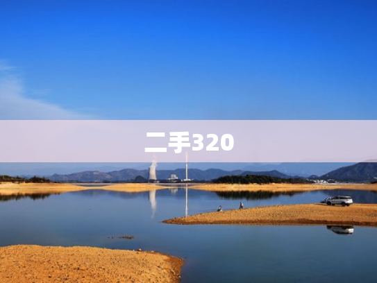 二手320