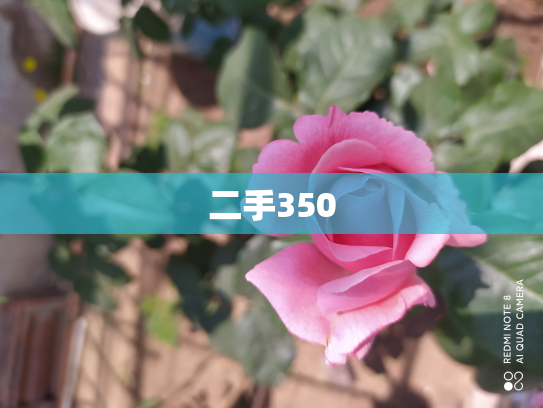 二手350