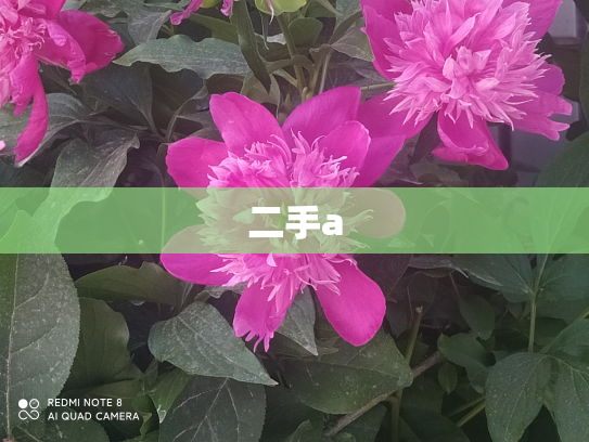 二手a
