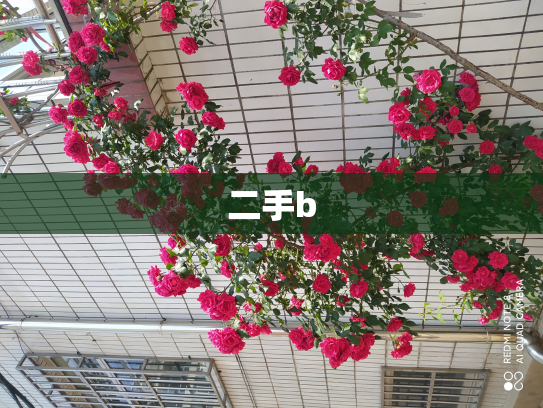 二手b