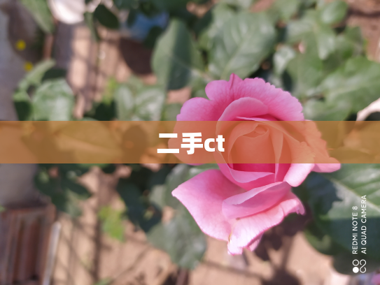 二手ct