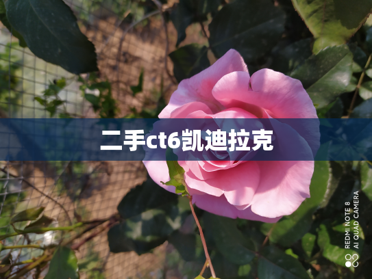 二手ct6凯迪拉克