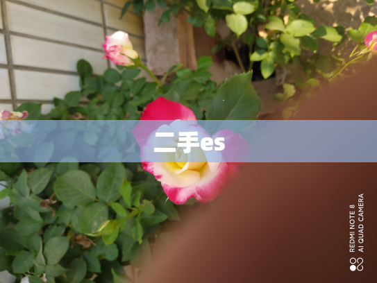二手es