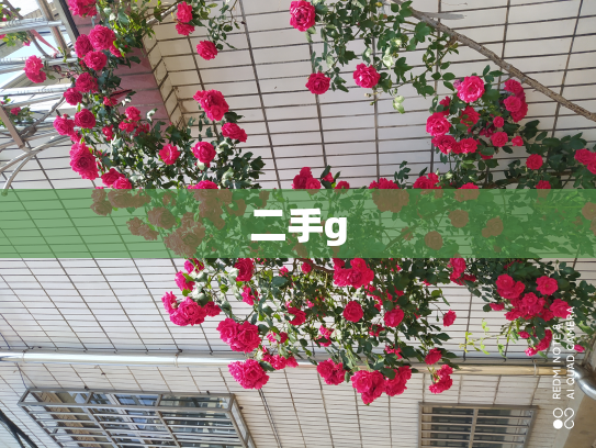 二手g