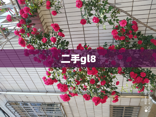 二手gl8