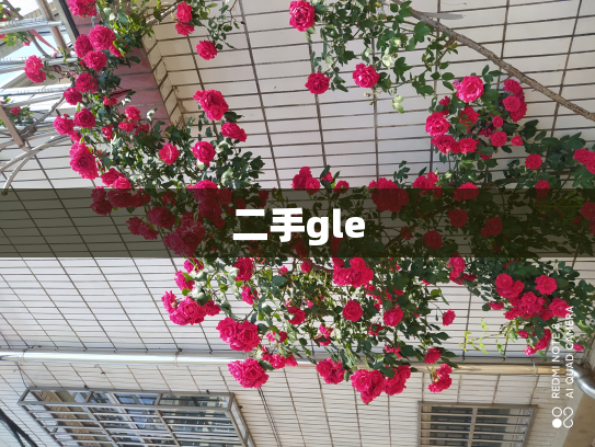 二手gle
