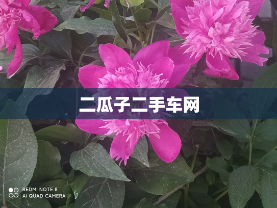 二瓜子二手车网