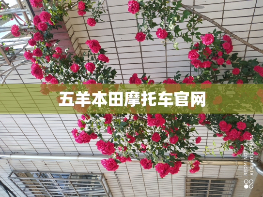 五羊本田摩托车官网
