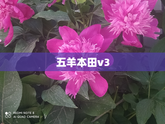五羊本田v3