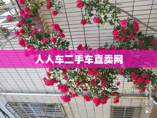 人人车二手车直卖网