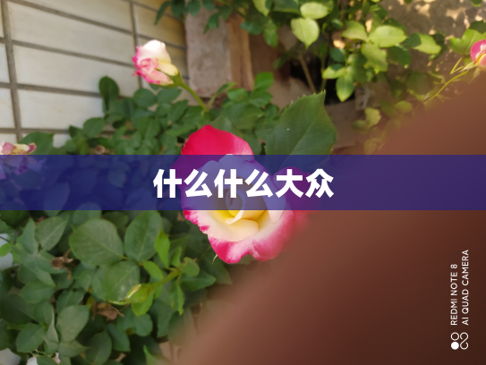 什么什么大众