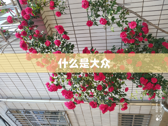 什么是大众