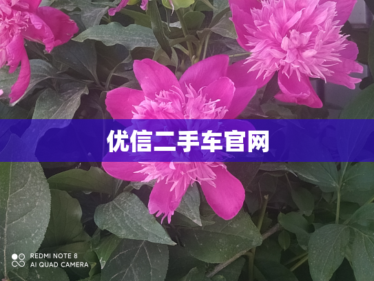 优信二手车官网