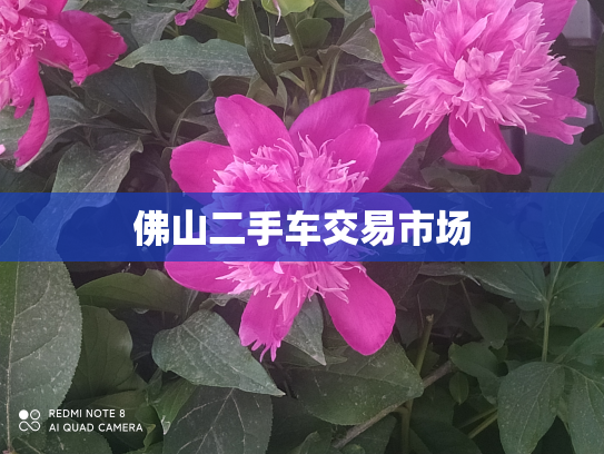 佛山二手车交易市场