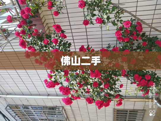 佛山二手