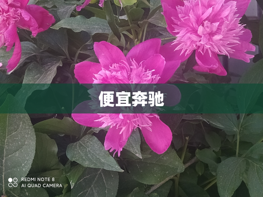 便宜奔驰
