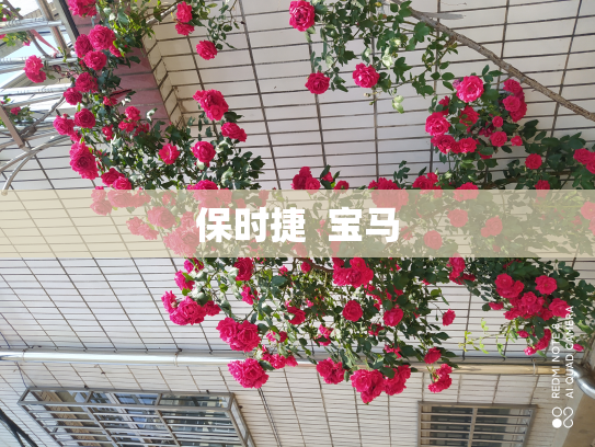 保时捷  宝马
