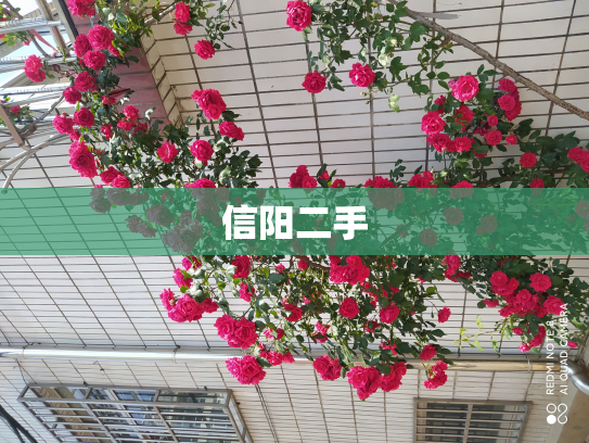 信阳二手