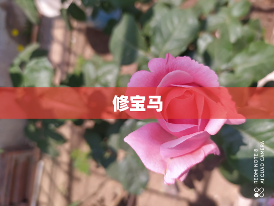 修宝马
