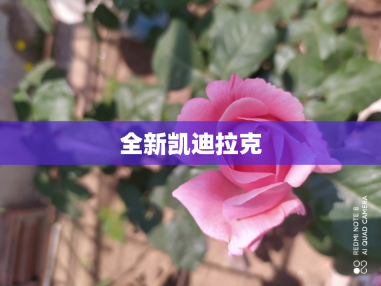 全新凯迪拉克