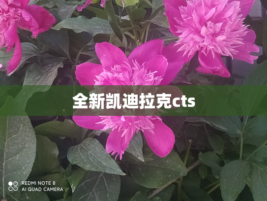 全新凯迪拉克cts