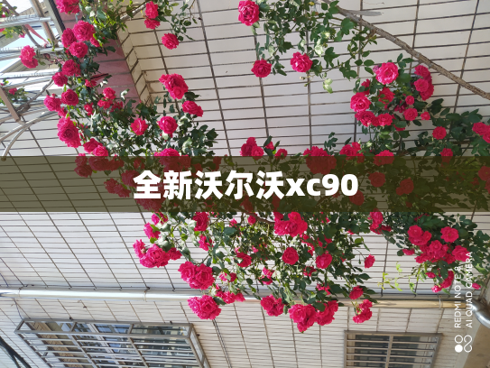 全新沃尔沃xc90