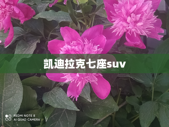 凯迪拉克七座suv