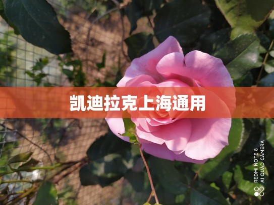 凯迪拉克上海通用