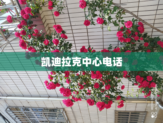 凯迪拉克中心电话