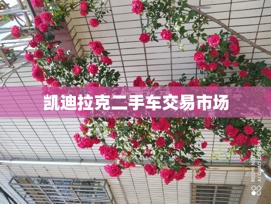 凯迪拉克二手车交易市场