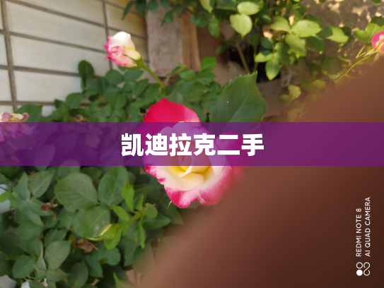 凯迪拉克二手