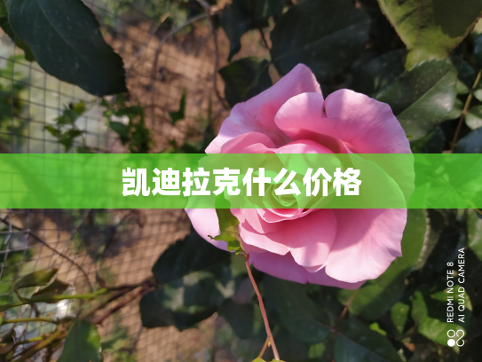 凯迪拉克什么价格